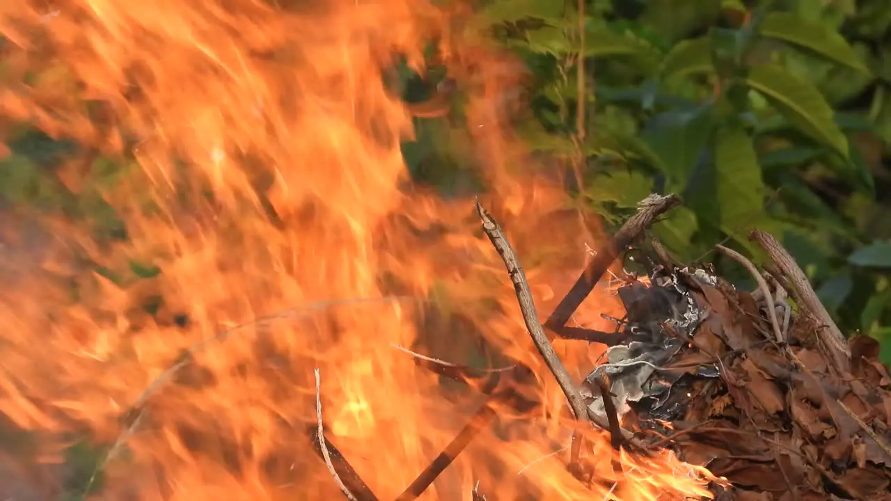 Leafs firing red flames smoke 