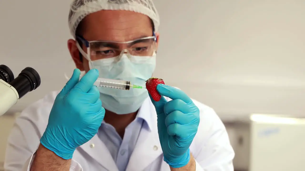 Scientist injecting something into strawberry