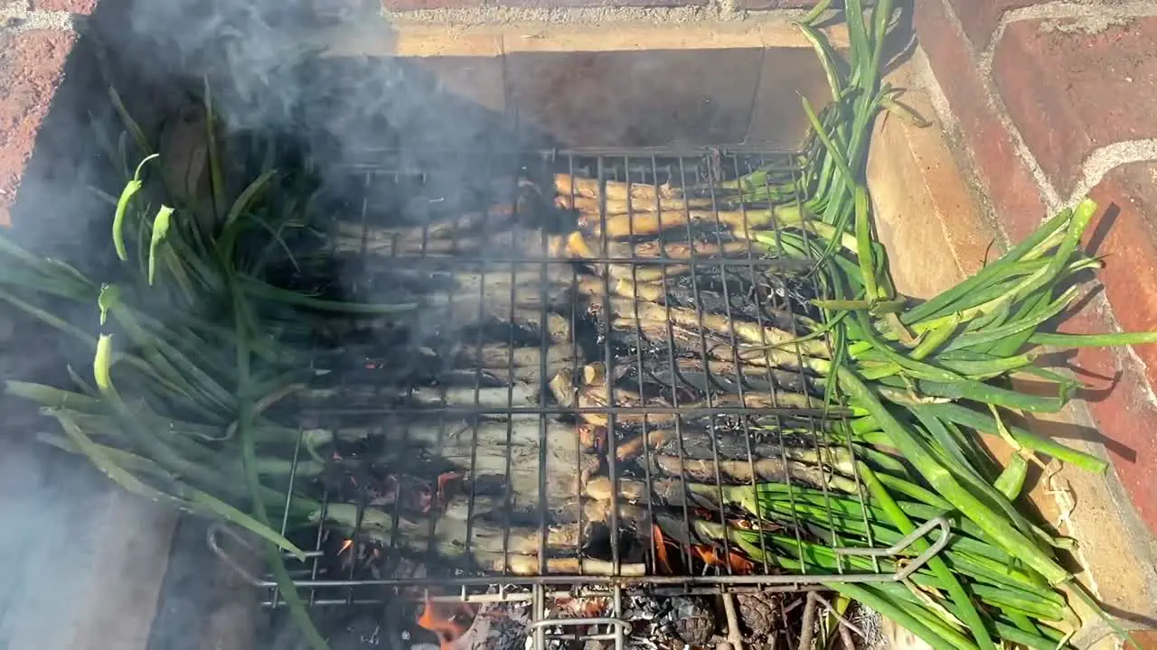 Delicious tasty roasted calcots cooking over rustic barbeque grill flames