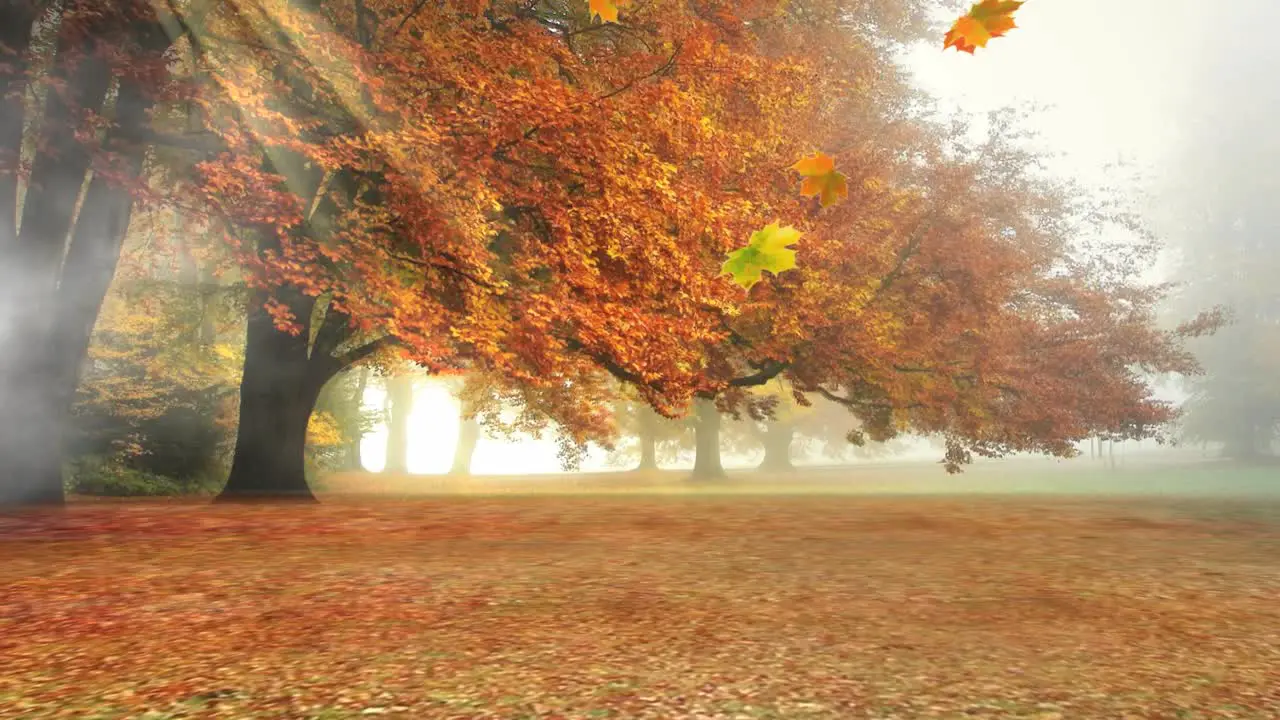 3D Virtual Studio Falling Leaf Set Background