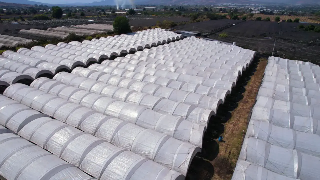 smooth aerial glides over blueberry plantation to reveal mountains in Michoacán Mexico