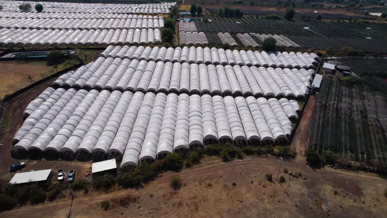 aerial left pan unveils the vast berry ranch located in Michoacán Mexico