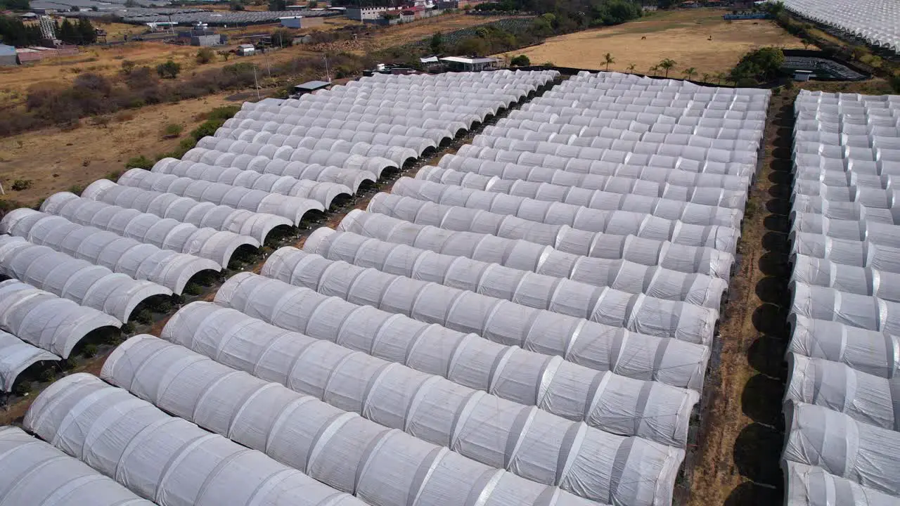 Slow aerial rise and pan over Blueberry plantation to reveal more farms in Michoacán Mexico