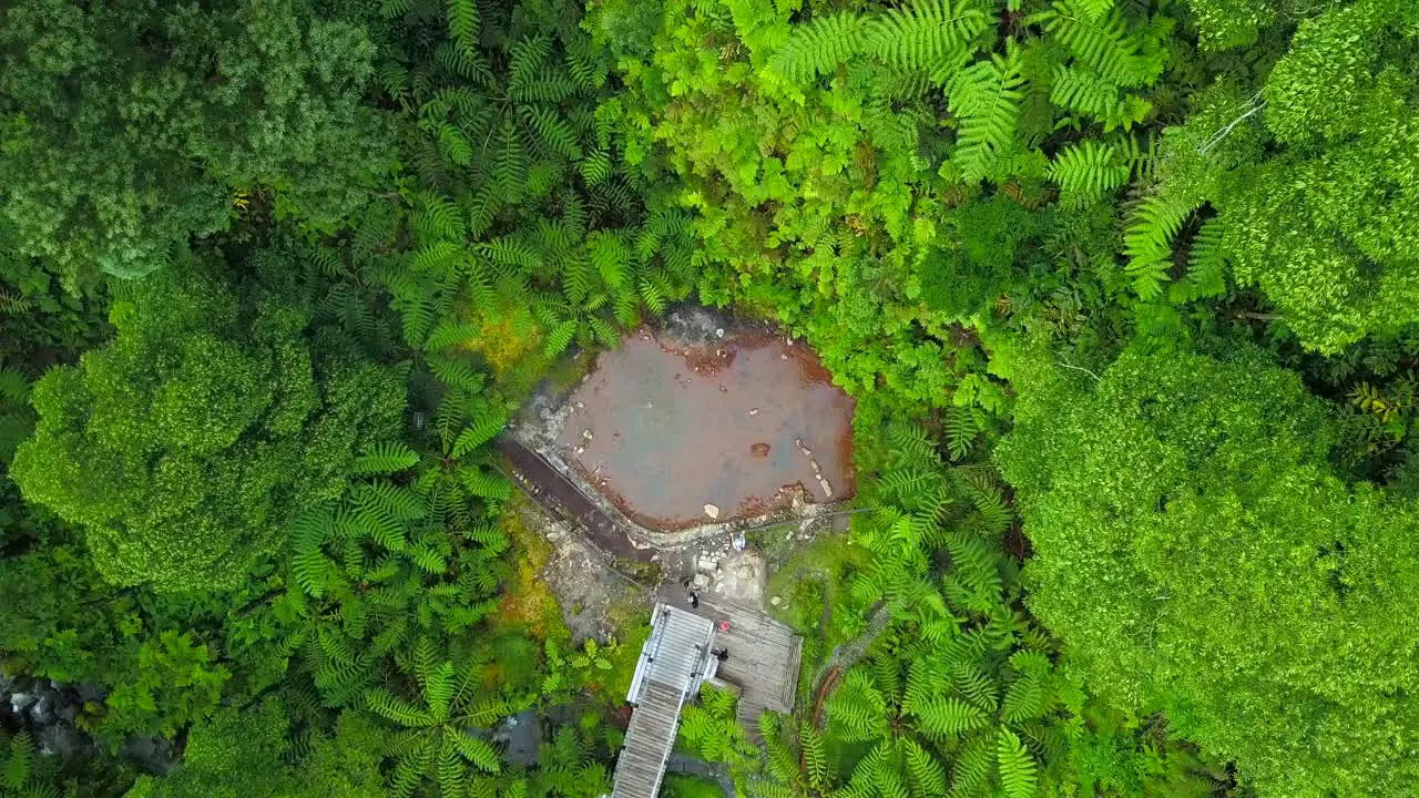 Aerial bird eye rise revealing tropical exotic jungle of Caldeira Velha hot springs