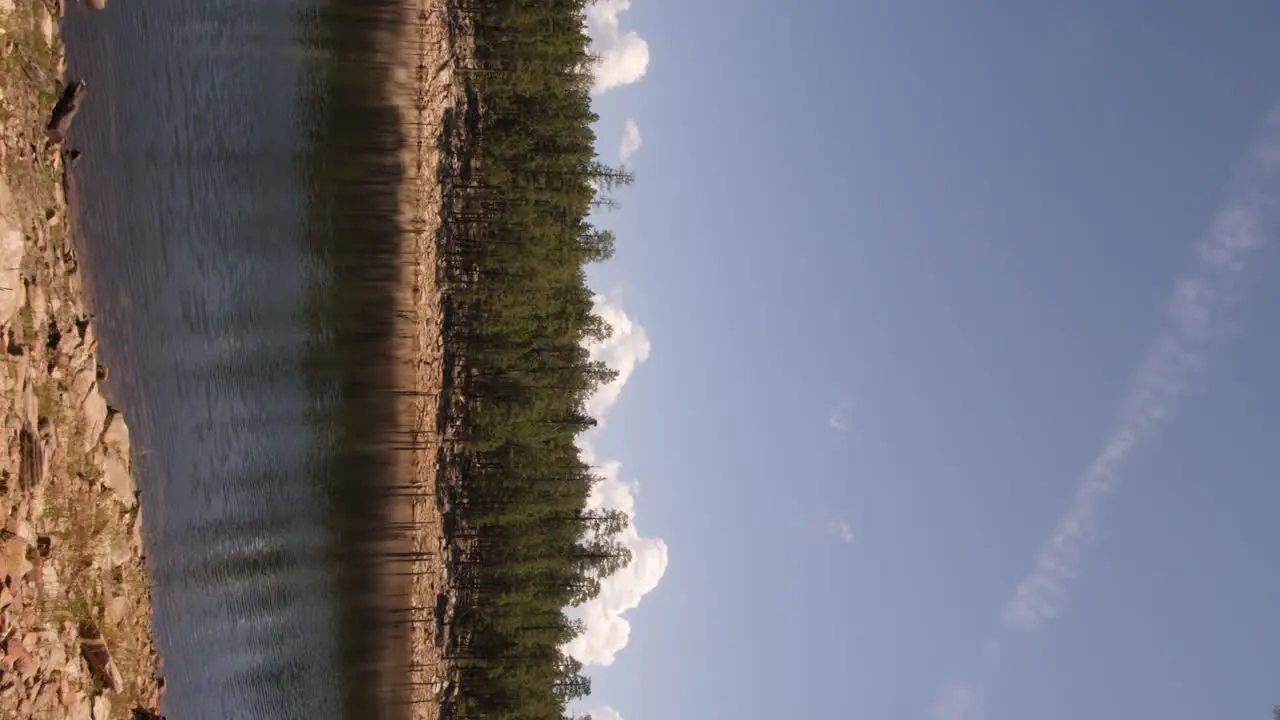 Vertical shot of the riverbank at Willow Spring