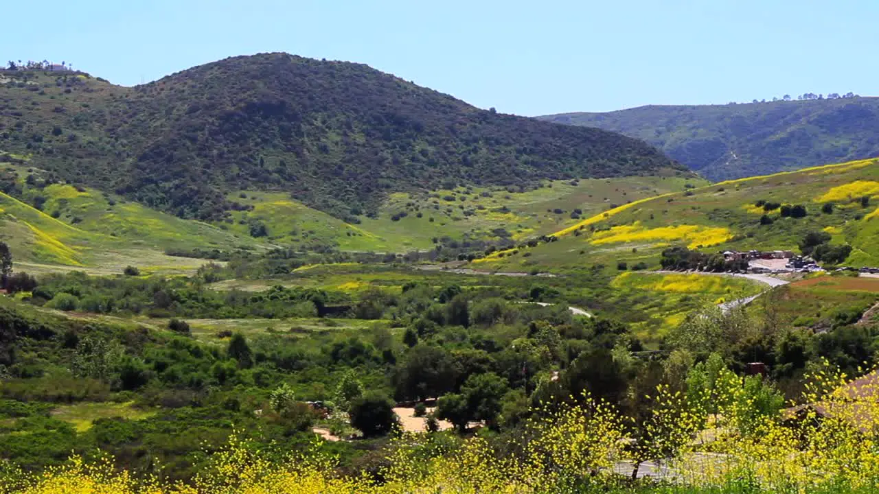 Hilltop view of a valley with green pastures and yellow wild flowers with mountains and blue skies on a spring day