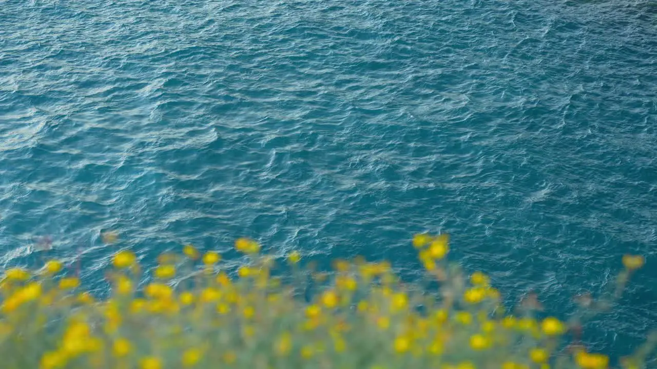 Background blue sea water ocean with blurred yellow colorful flowers static