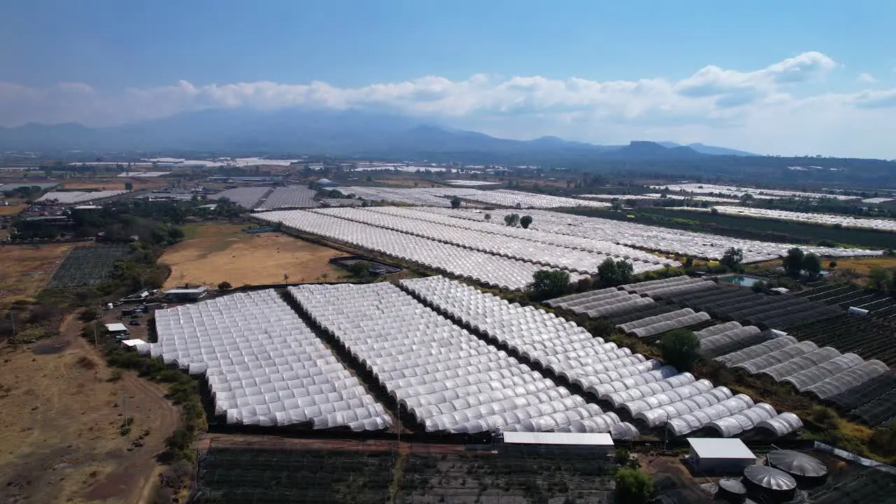 Aerial of blueberry farm in remote land in Michoacán Mexico