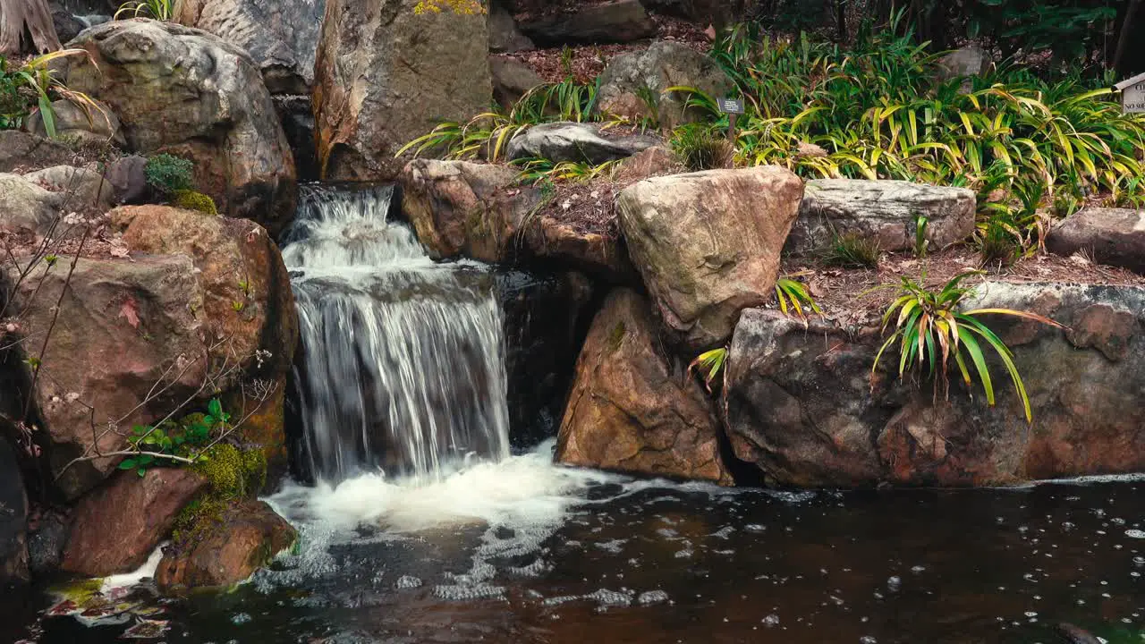 Stream at Pine Clouds Mountain Exhibit in the Sarah P