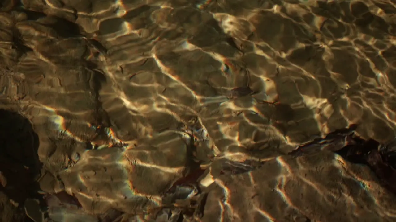 Creek water floating in Switzerland