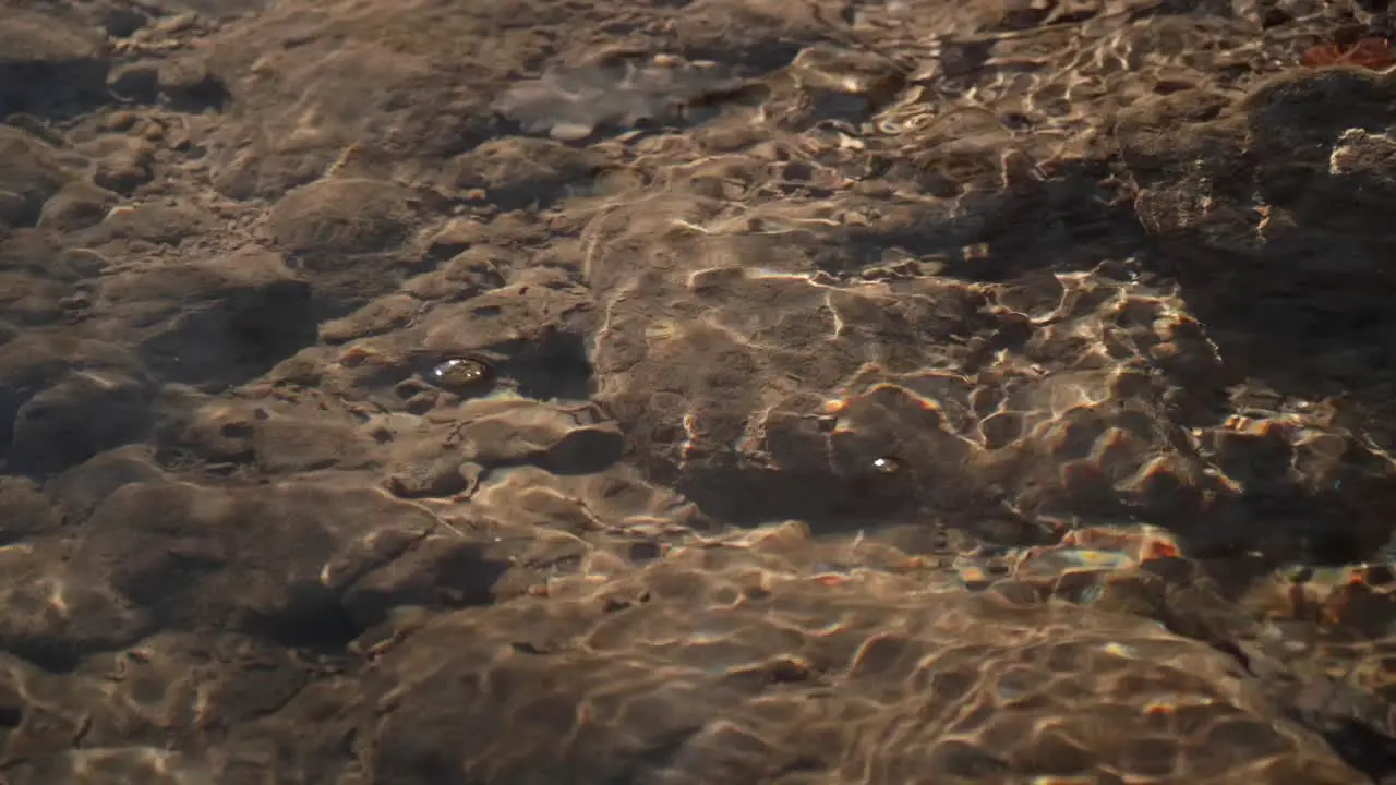 Creek water floating quietly in Switzerland