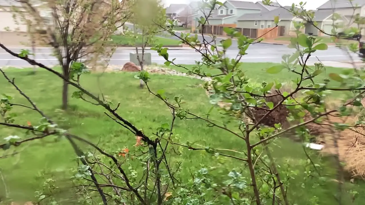 Rain drips down window and off leaves in slow motion