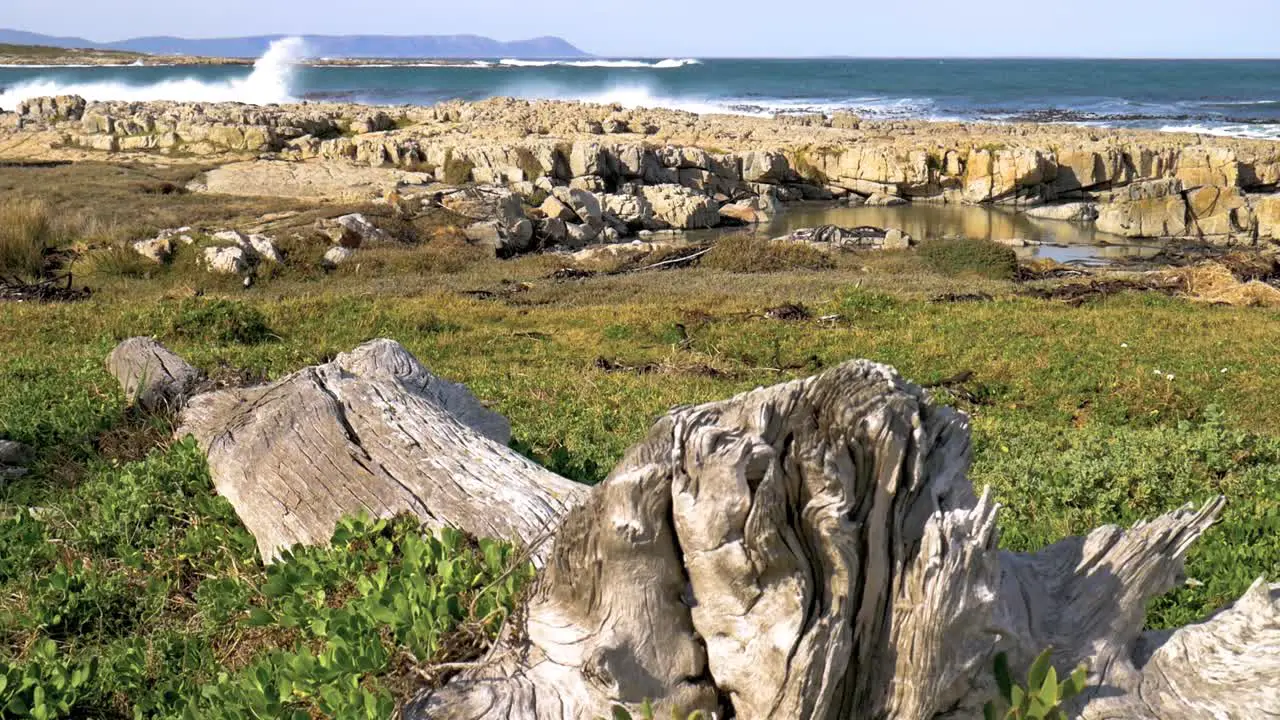 Old log lying in foreground of rocky coastline with rough ocean