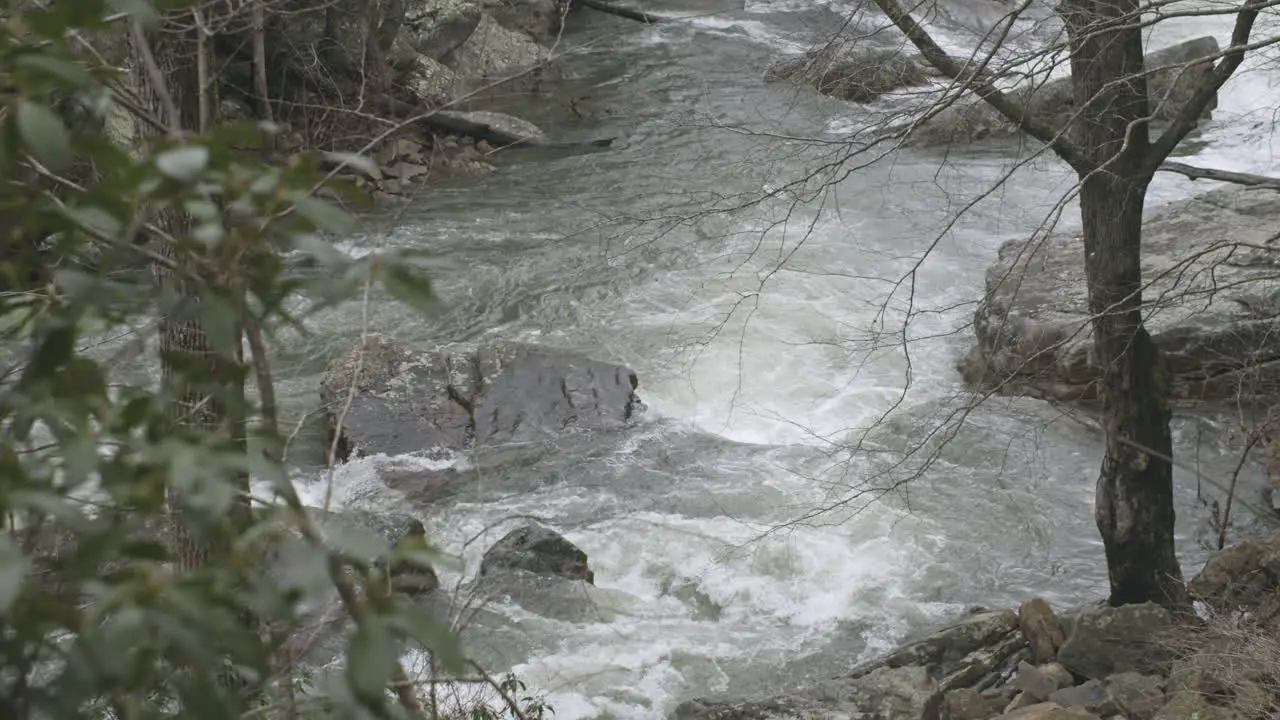 Slow motion dolly to the right with leaves in foreground and flooded creek in background