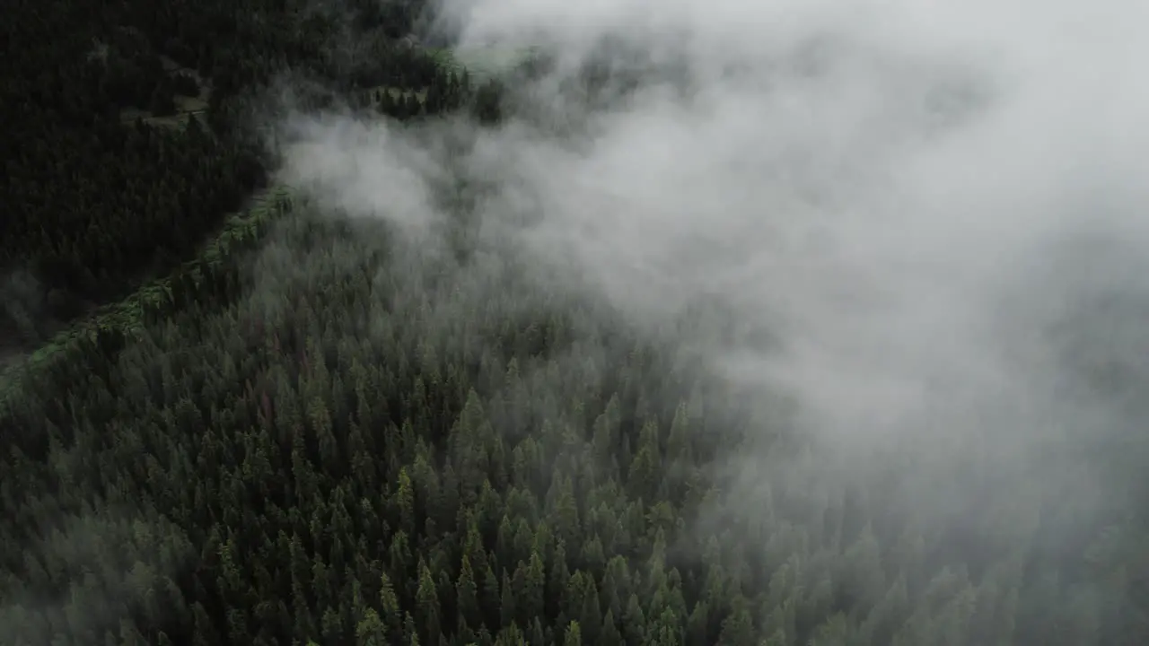 Clouds rolling over the mountains and a forest