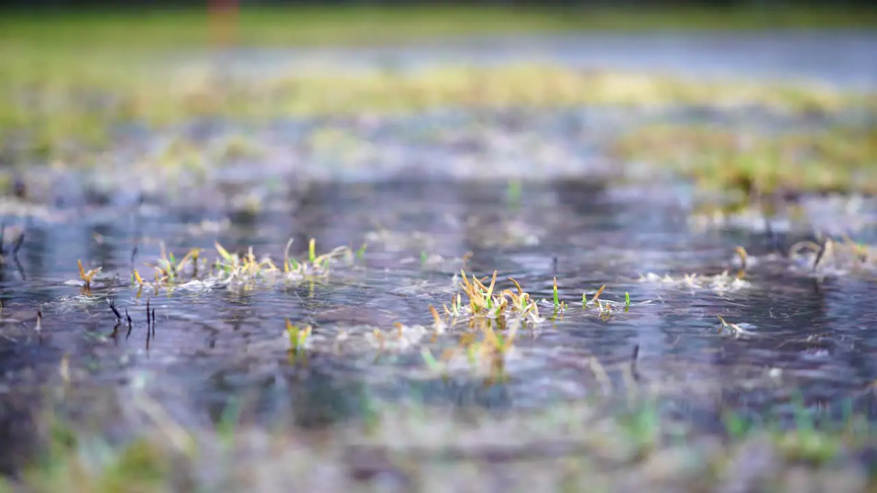 Light rain in rain pit