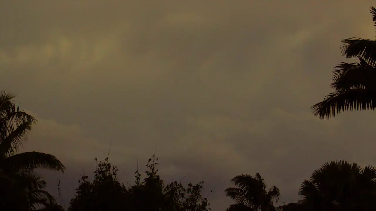 Lightning flashing in storm clouds above a tropical garden at dusk