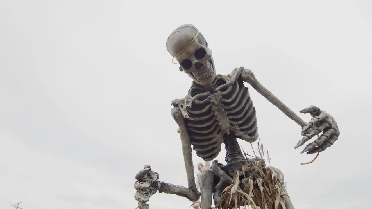 Skeleton in a corn skirt against a cloudy sky Halloween decor