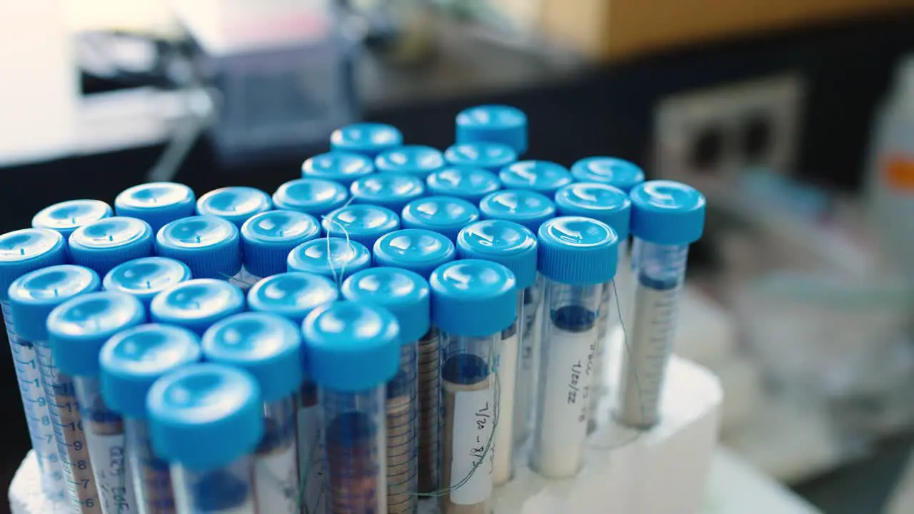 Test tubes organized into storage after a science experiment