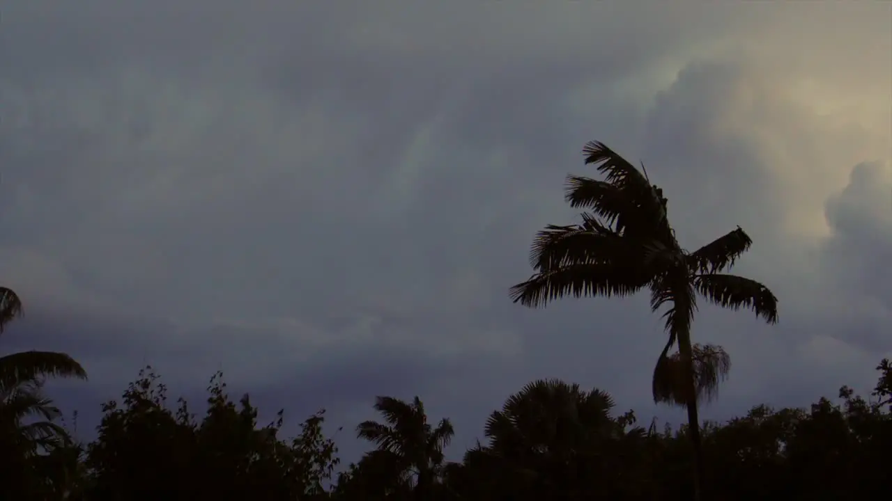 Impressive lightning display in storm clouds behind a tropical garden scene at dusk