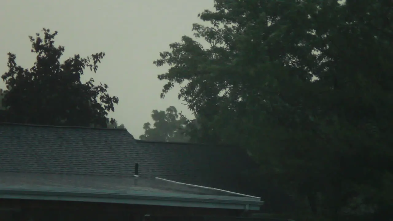 Heavy Rain on rooftops and trees during a storm