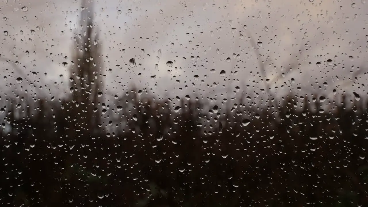 Rainy scene through a window