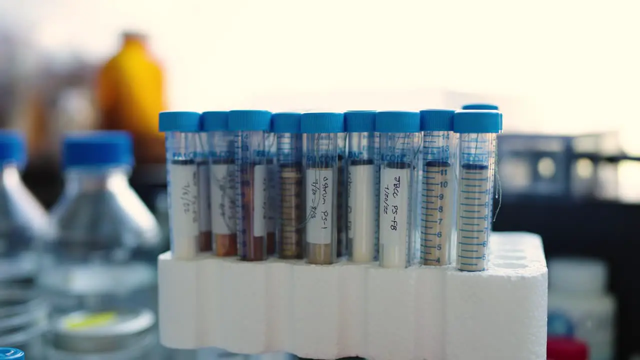 Science test tubes organized into storage for an experiment