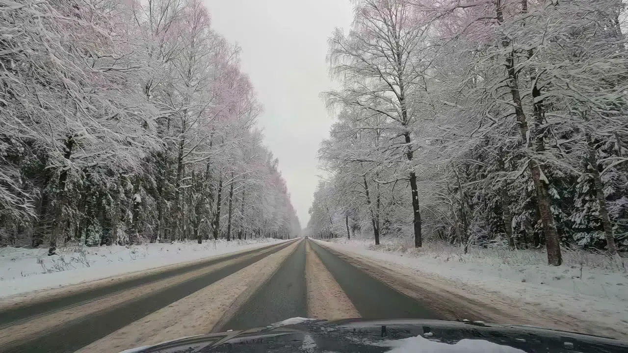 Point of View of car driving down a slushy road with trees filled with snow