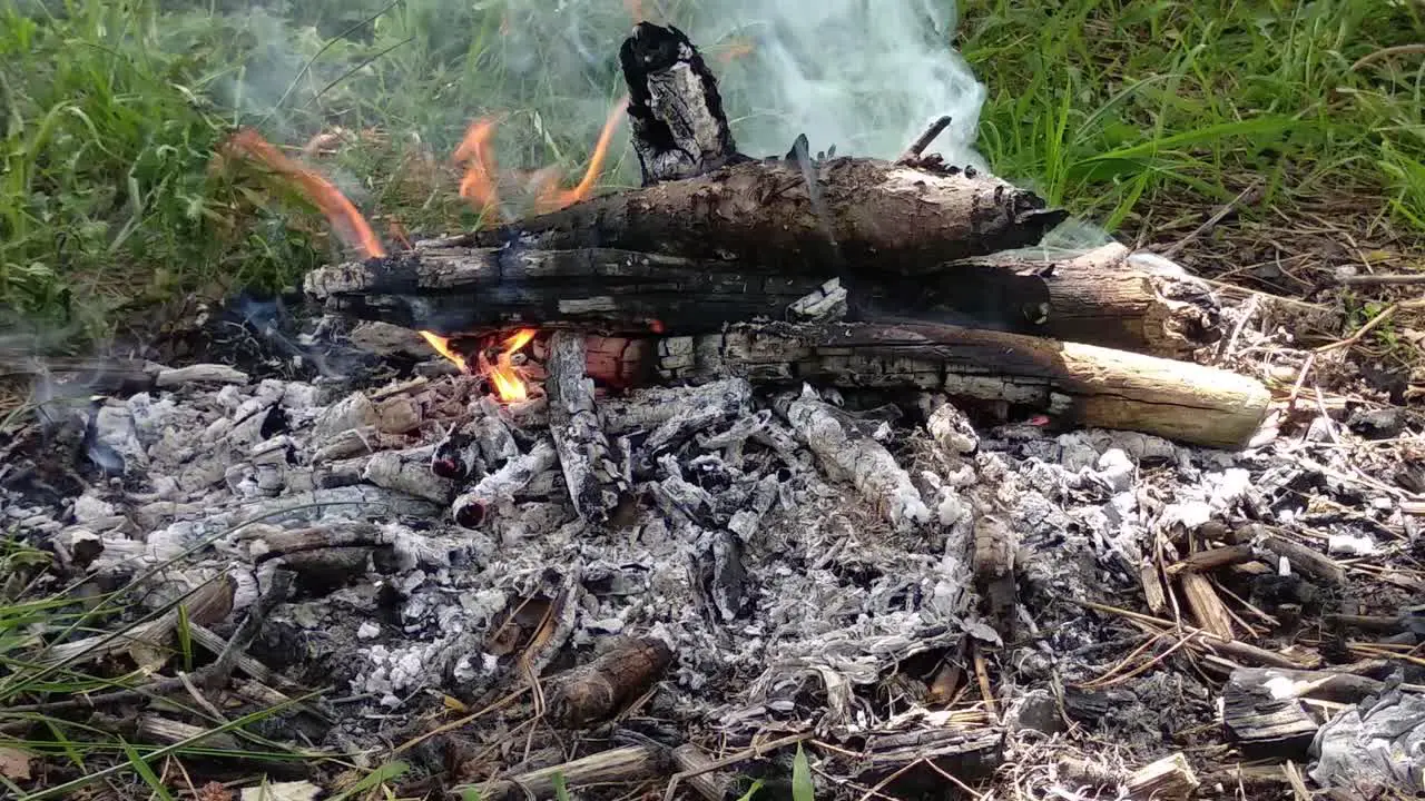 A small smoky bonfire close up at bright summer day