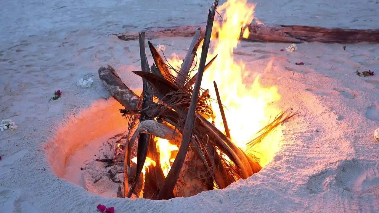 Close Up Of Pile Of Tree Woods On Fire At Sandy Beach Bonfire