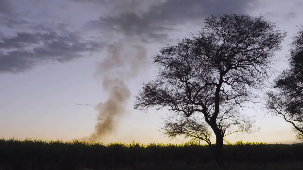 A fire burns through crops in the distance