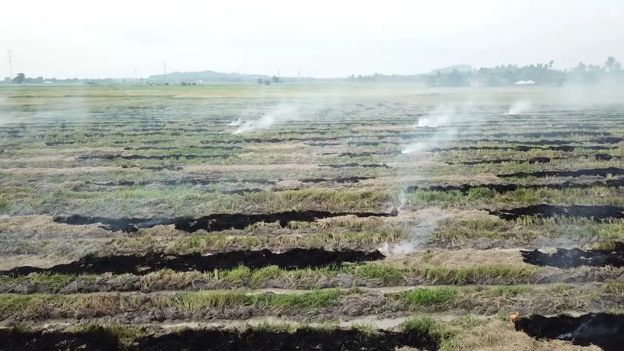 Burning agricultural dry paddy waste at Malaysia Southeast Asia