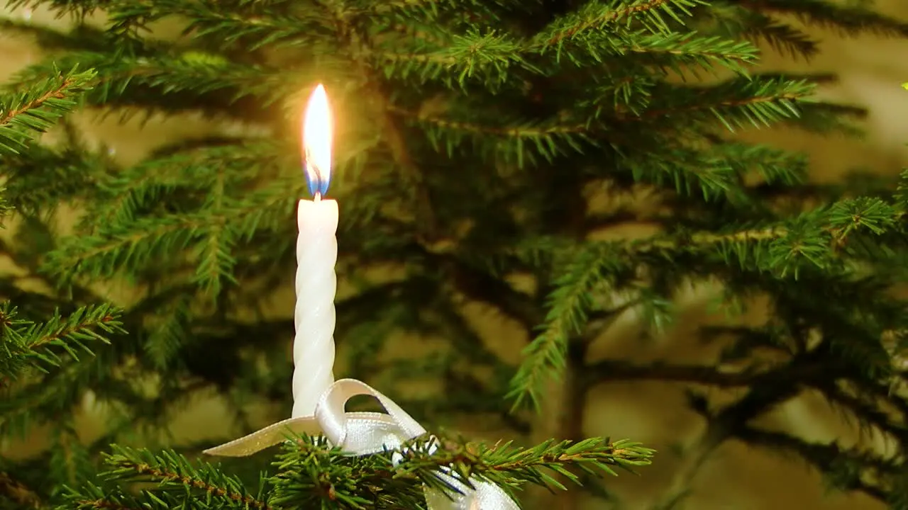 At Christmas white candles are lit in the branches of the Christmas tree