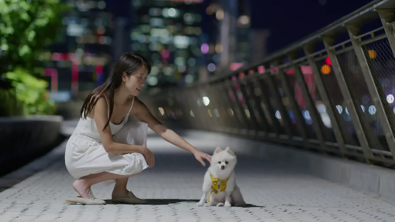 Pomeranian dog and asian woman outdoor at night