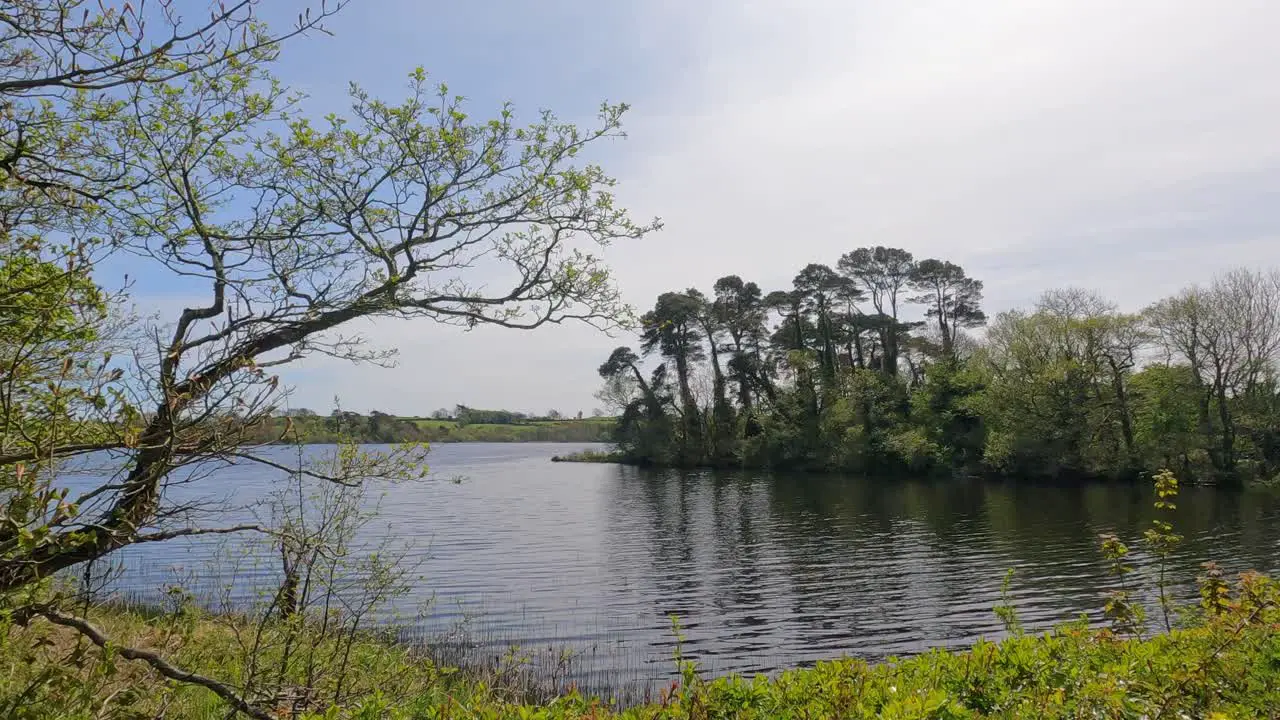 Gentle waters lapping in a creel peaceful scene in spring Waterford Ireland