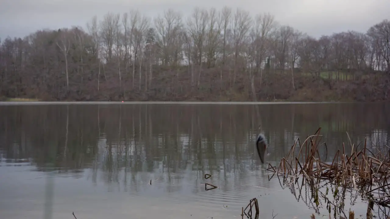 Fishing gear silver Jerk Bait Action Tumbling Pre-Cast at a Lake