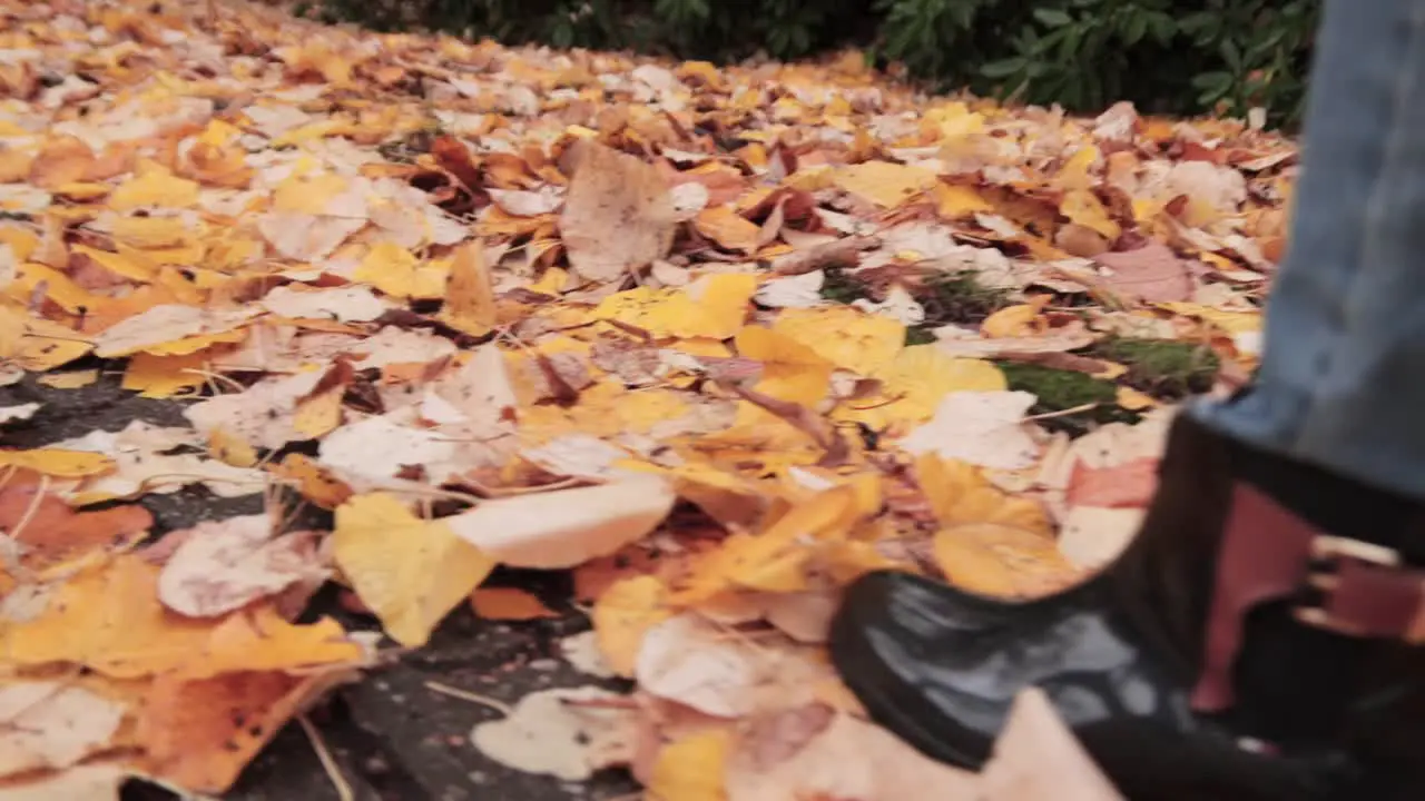 Slow motion close up of female feet in boots walking and kicking autumn leaves