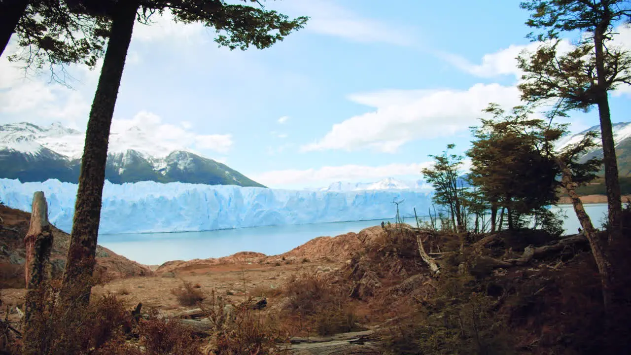 Panoramic View of Perito Moreno Los Glaciers National Park from Colorful Autumn Woods Patagonia Argentina