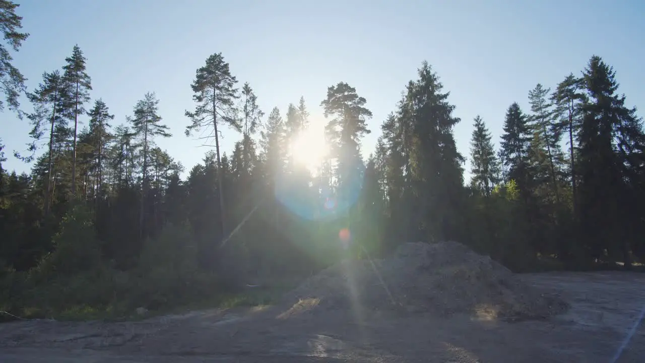 The rays of the sun shine through the dark silhouettes of the trees