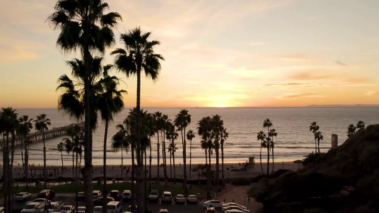 Palm Tree Silhouettes with Vibrant California Sunset on Horizon Aerial