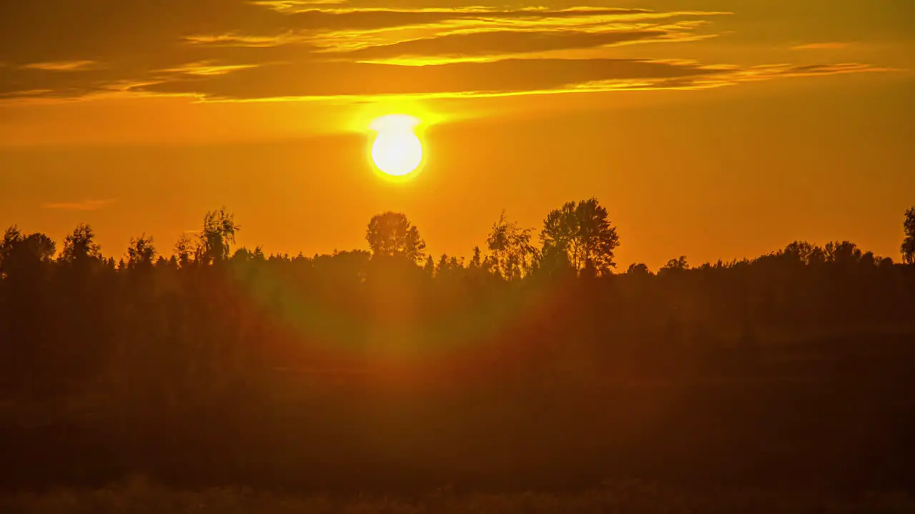 Time lapse shot of golden sunset in the evening over field with trees