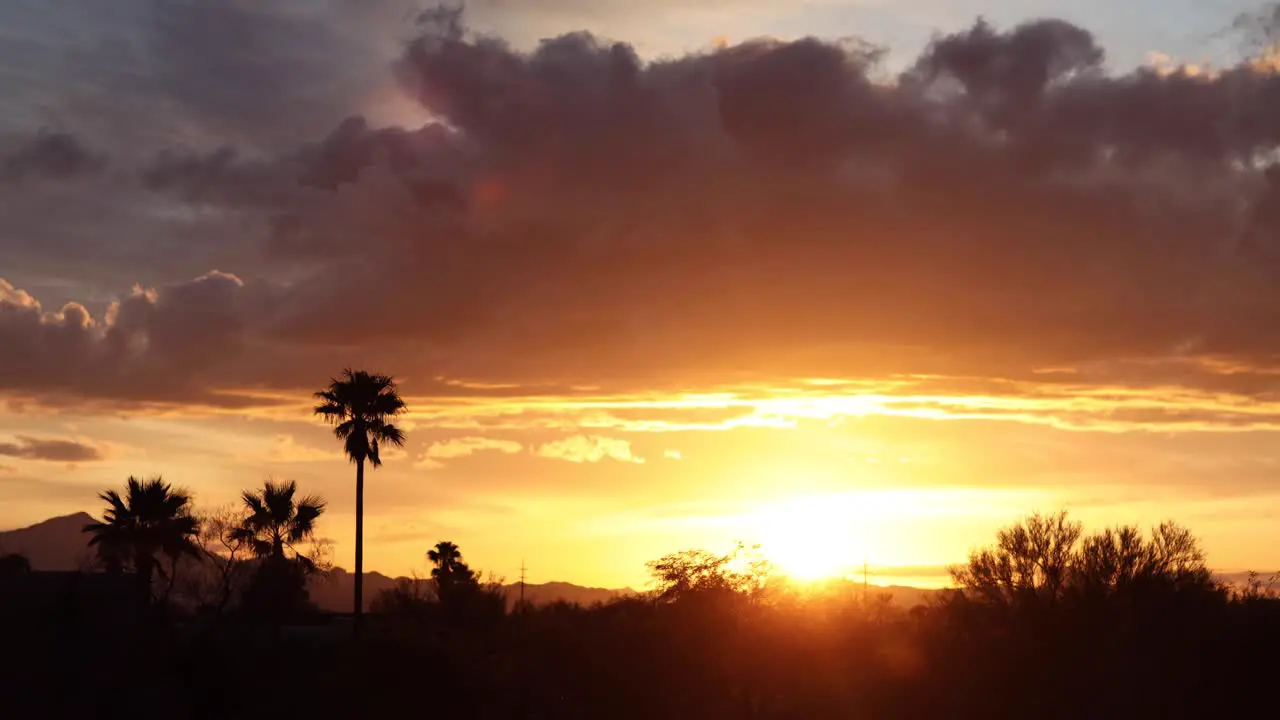 Colorful sunset light breaks through storm clouds silhouetting palms Arizona