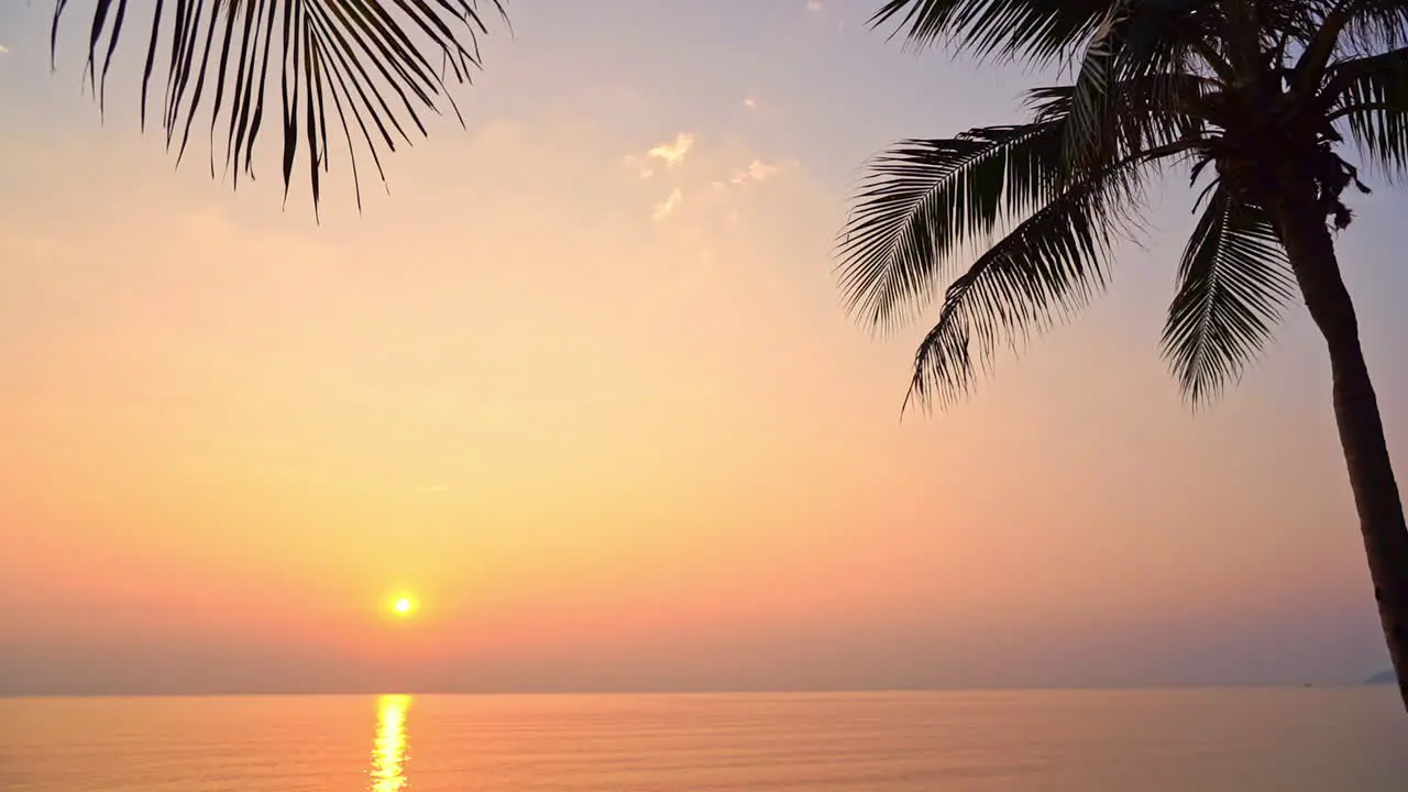 Palm trees frame a setting sun over the ocean waters