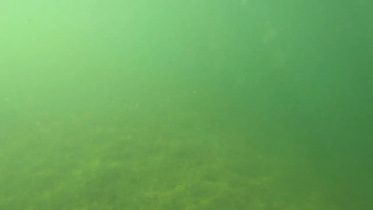 Sunny underwater shot sunbeams are wandering under water over the ground at the end is a short pop up and watch out of the water to see the pre alps at a summer day