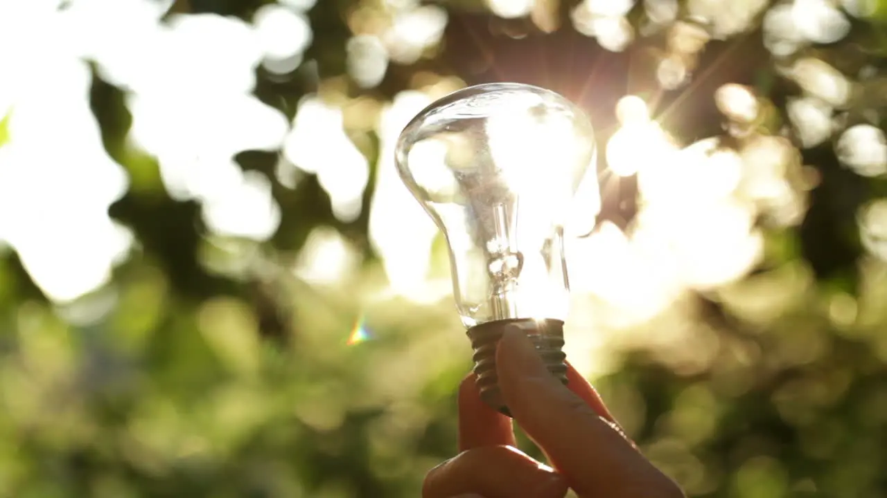 Sun through the bulb