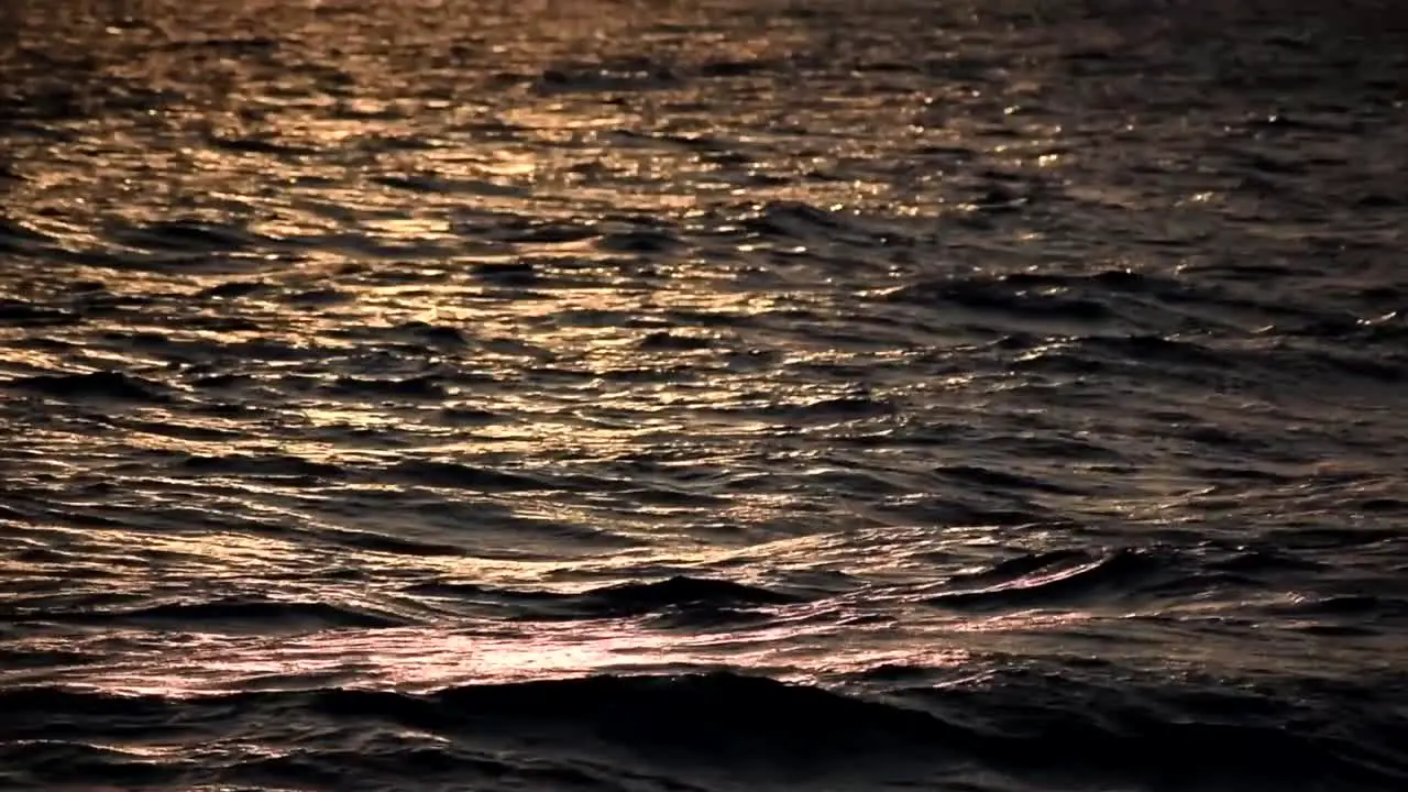 Beautiful Waves passing by at dawn on Garda Lake moved by wind on Garda Lake in the North of italy