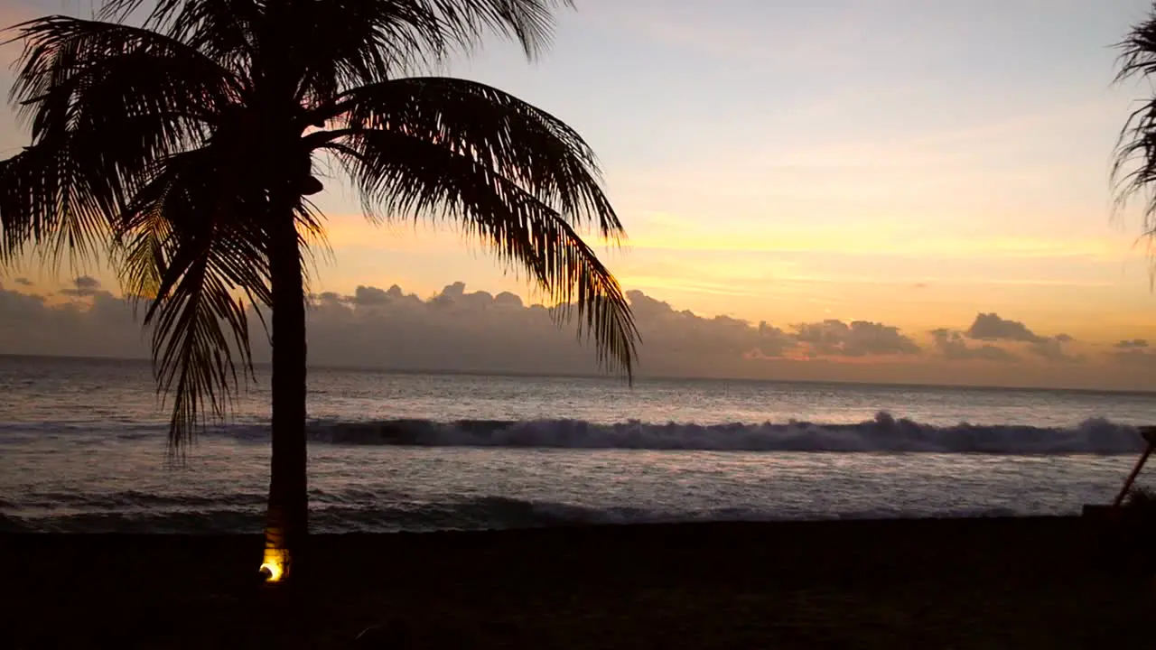 Silhouetted Palm Tree on a Beach at Sunset