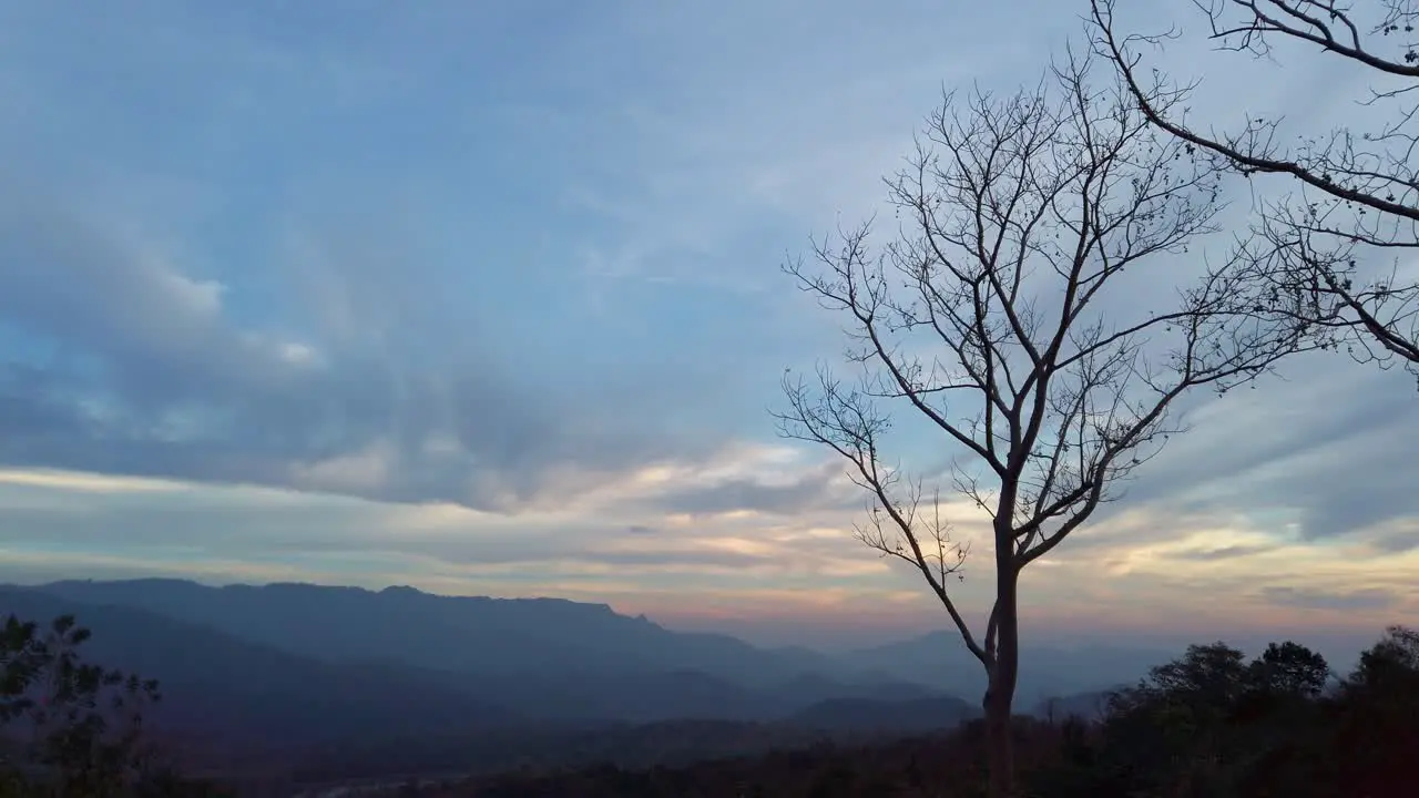 Static shot of lone silhouette tree blowing in wind with beautiful mountain background