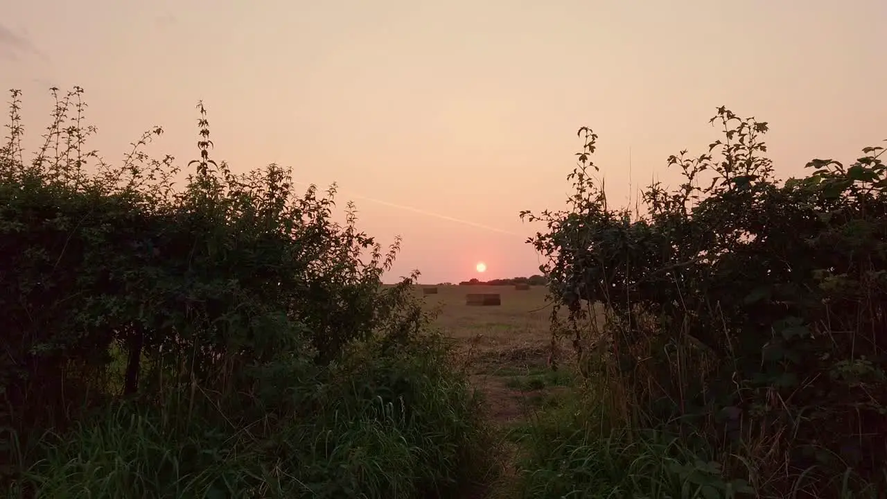 Farm field at dusk overlooking hay bales