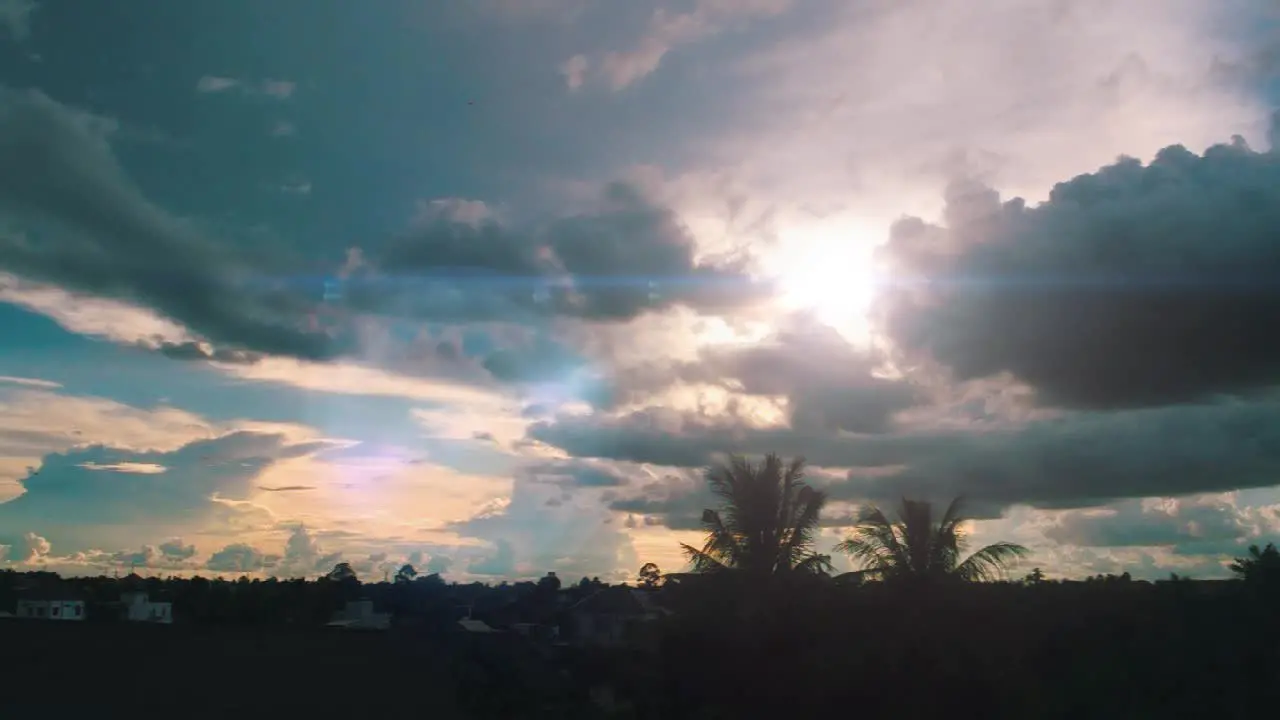 Picturesque Tropical Sunset with Palm Trees